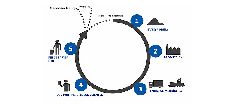 A diagram showing the five stages of a product life cycle